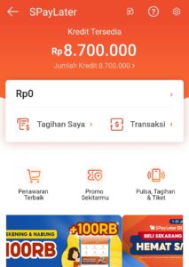 Cara Menggunakan Shopee PayLater